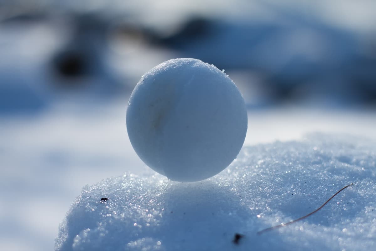 The Little Investor and the Snowball